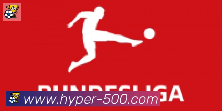 500彩票官网合作伙伴